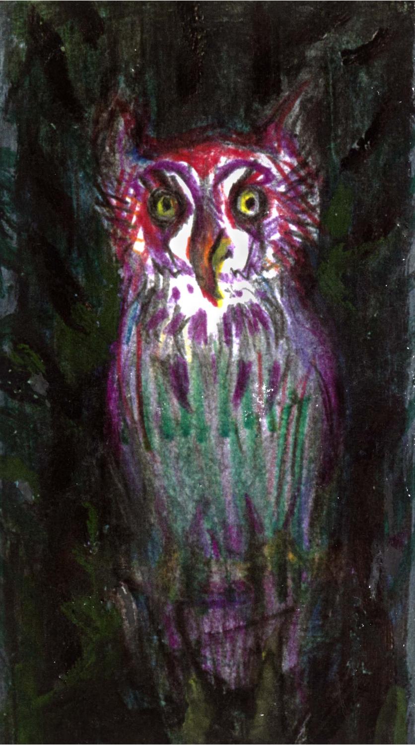 sowa z bajki o ślimaku